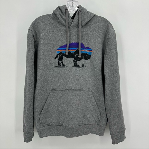 Patagonia Other - Patagonia Uprisal Fitz Roy Bison Sweatshirt Hoodie Unisex Gray Size S